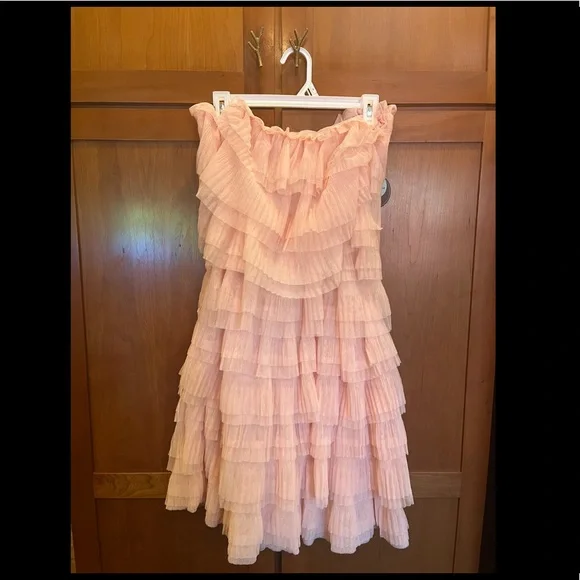 🎉HOST PICK!🎉! Eva Franco Victoire Tiered Tulle Mini Dress - Anthropologie - Picture 4 of 10